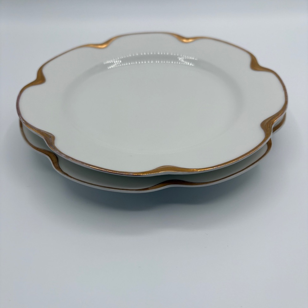 Two Haviland & Co Limoges Silver Anniversary Plates Schleiger 19